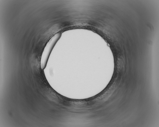 X0000112041257200909141110