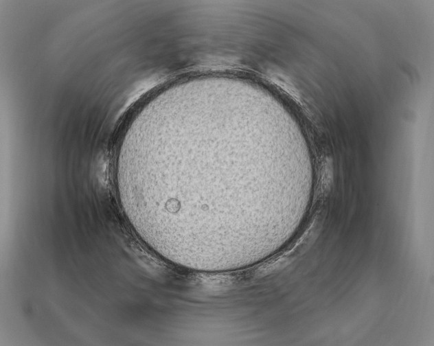 X0000112041258200909141110