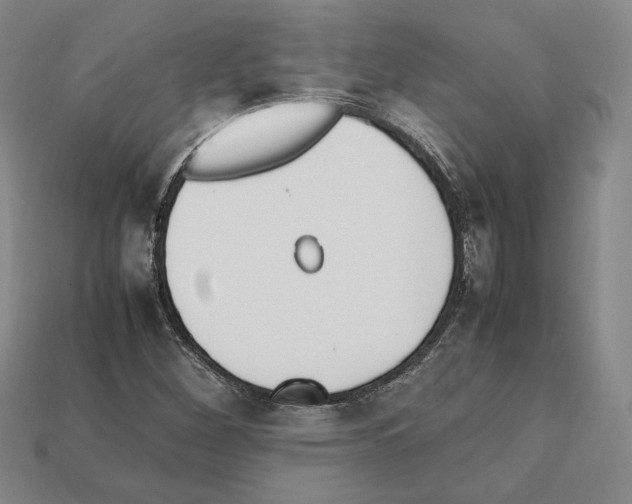 X0000112041260200909141110
