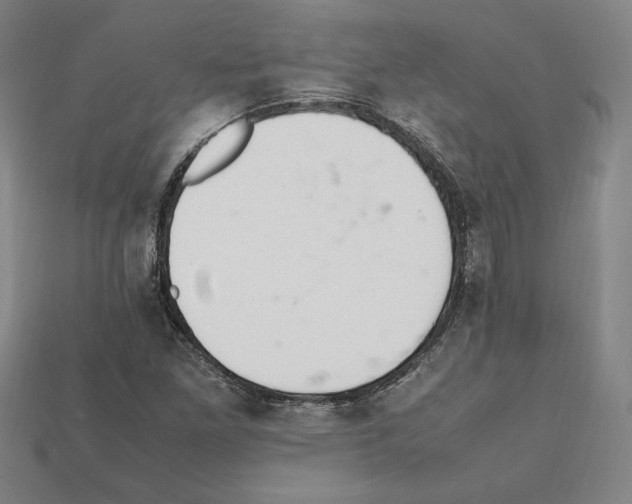 X0000112041261200909141110