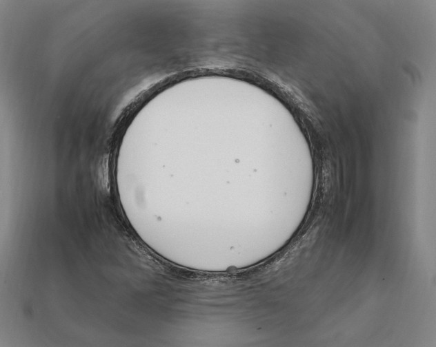 X0000112041262200909141110