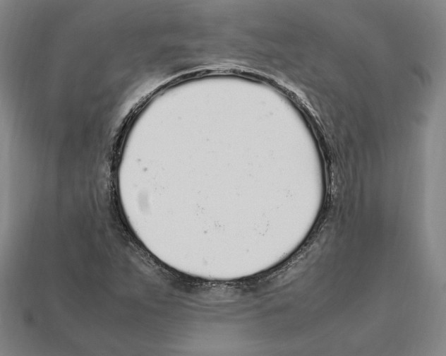 X0000112041263200909141110