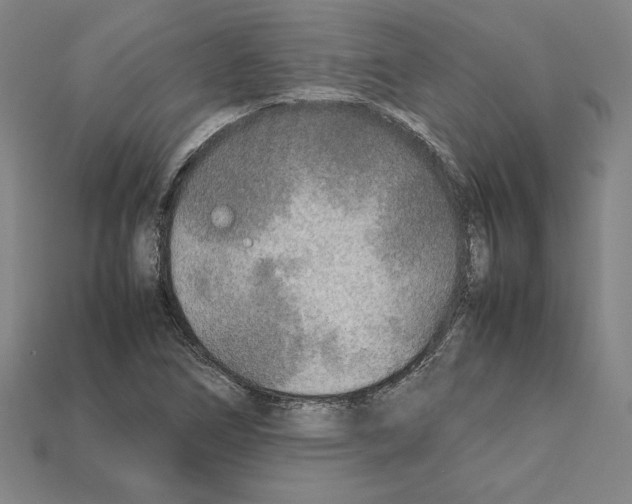 X0000112041266200909141110