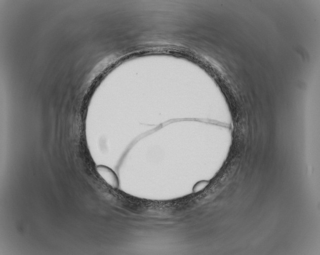 X0000112041267200909141110