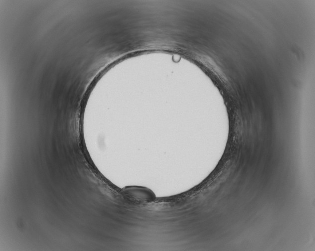 X0000112041268200909141110