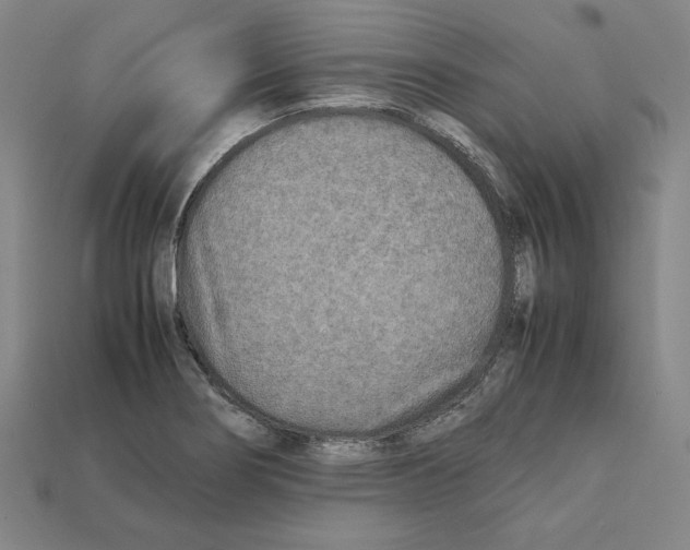 X0000112041274200909141110