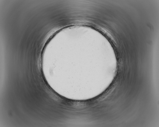 X0000112041275200909141110