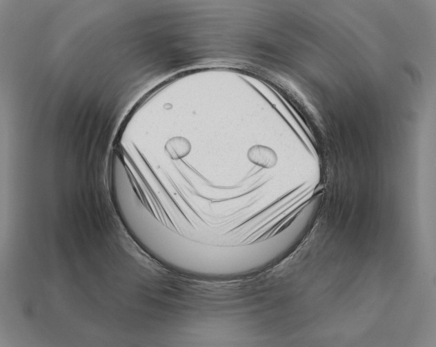 X0000112041276200909141110