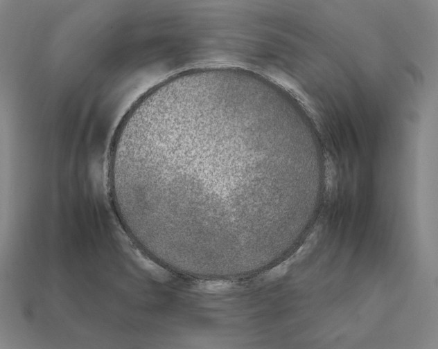 X0000112041278200909141110