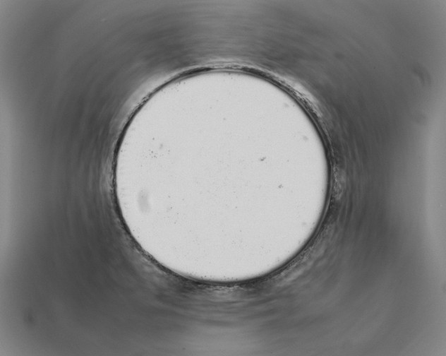 X0000112041279200909141109