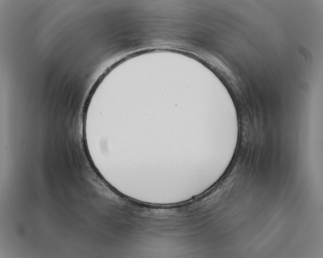 X0000112041280200909141109