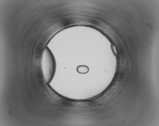 X0000112041281200909141109