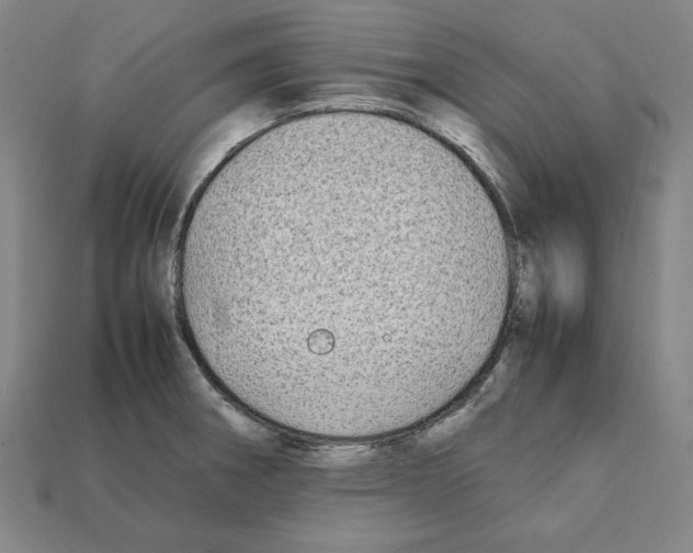 X0000112041282200909141109