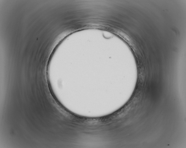 X0000112041283200909141109