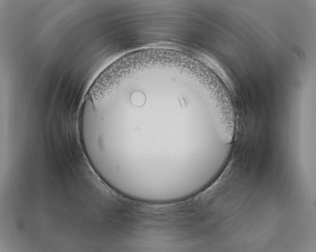 X0000112041284200909141109