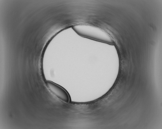 X0000112041285200909141109