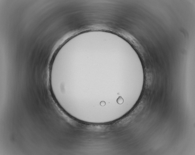 X0000112041286200909141109