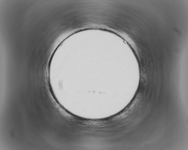 X0000112041287200909141109