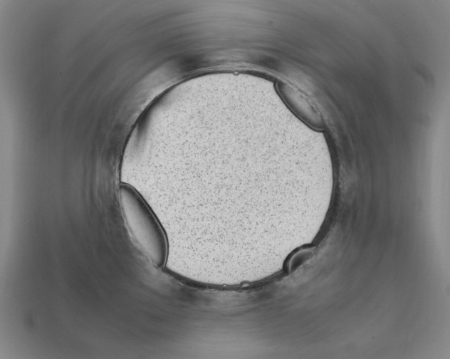 X0000112041289200909141109