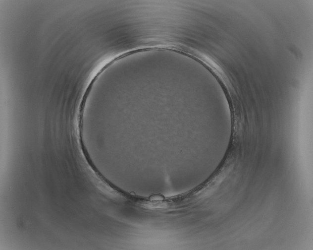 X0000112041291200909141109