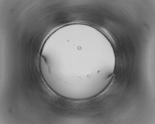 X0000112041292200909141109