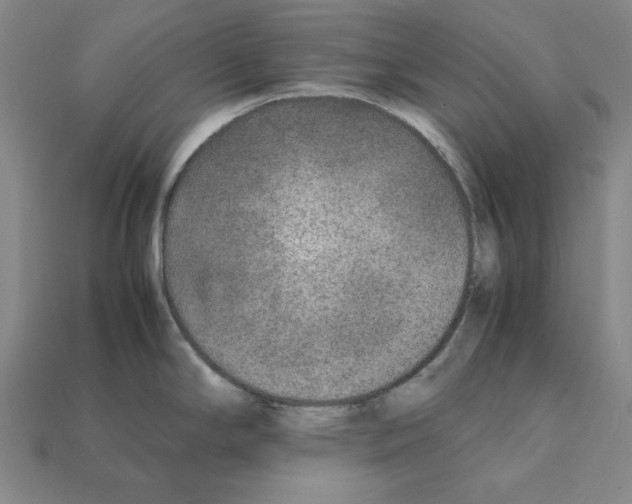 X0000112041294200909141109