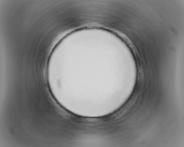 X0000112041295200909141109