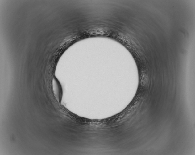 X0000112041297200909141109