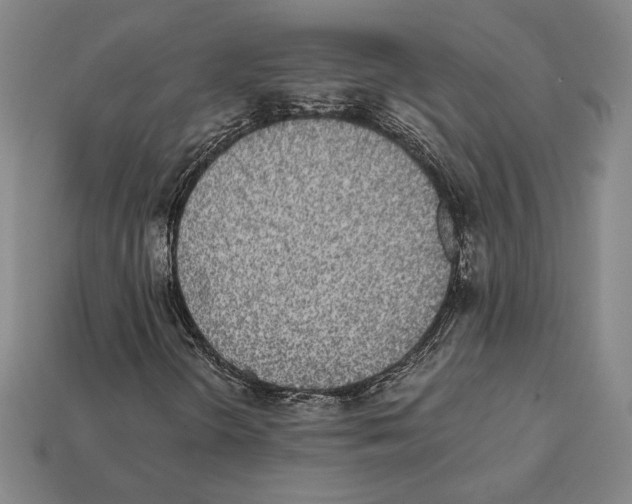 X0000112041298200909141109