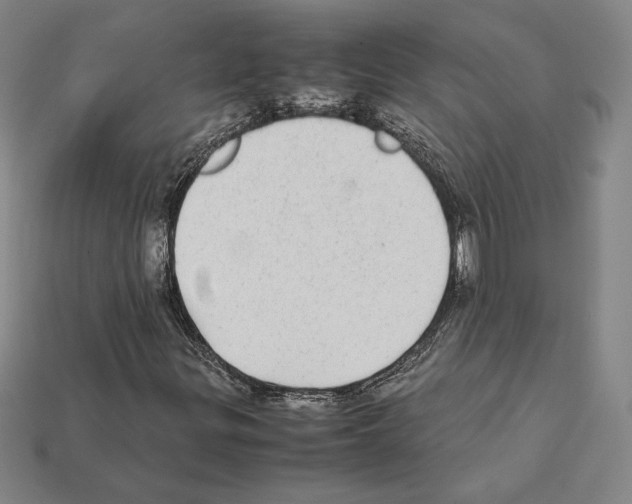 X0000112041299200909141109