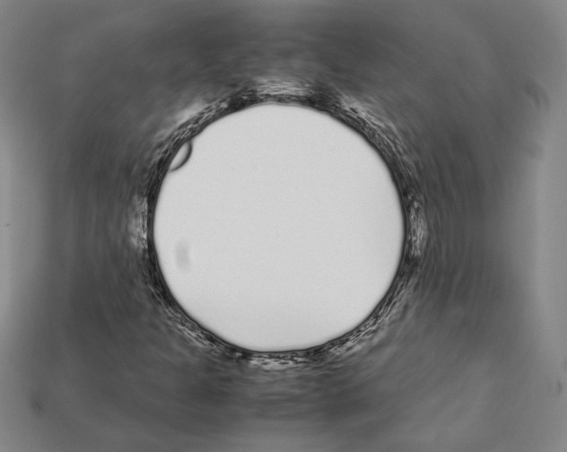 X0000112041301200909141109