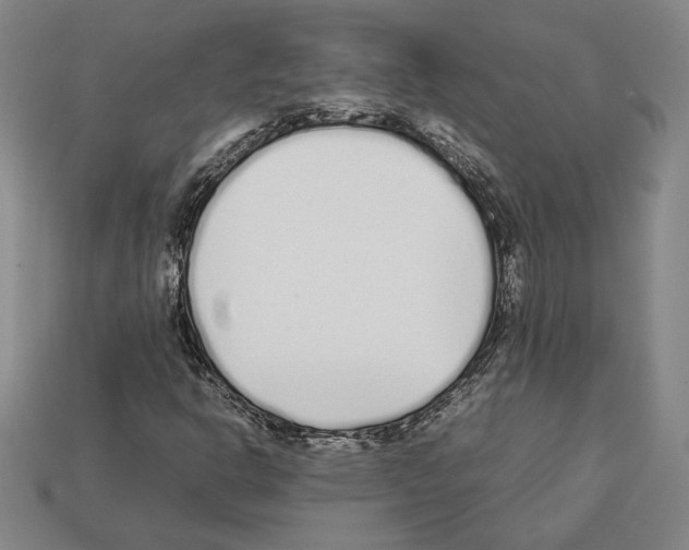 X0000112041302200909141109
