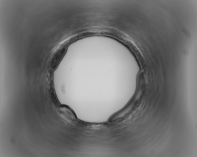 X0000112041304200909141109