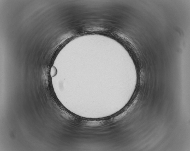 X0000112041305200909141109