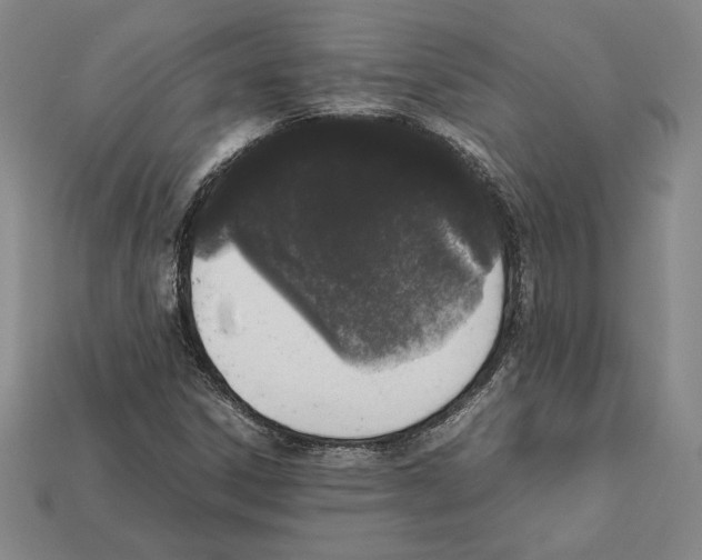 X0000112041306200909141109