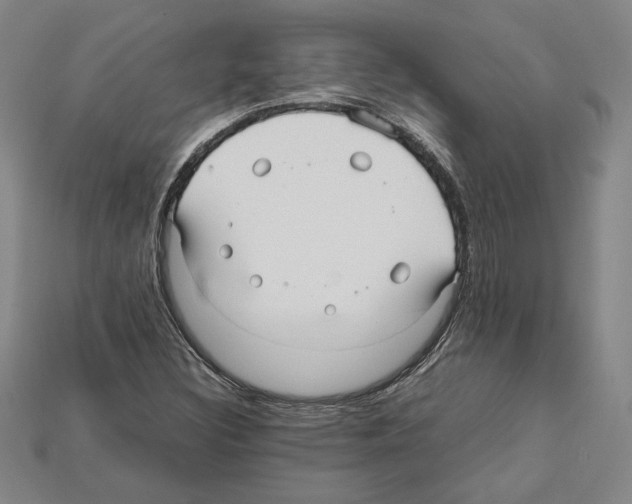 X0000112041308200909141109