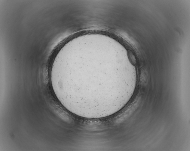X0000112041310200909141109