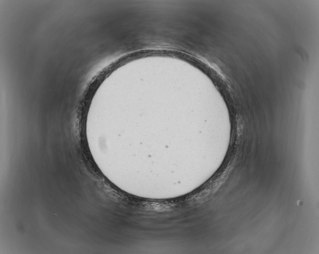 X0000112041311200909141109