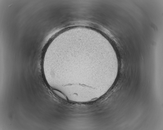 X0000112041312200909141109