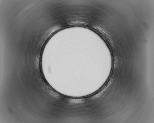 X0000112041313200909141109
