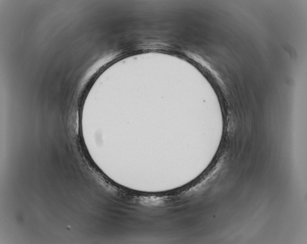 X0000112041317200909141109