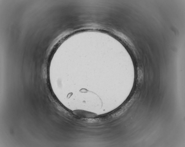 X0000112041318200909141109
