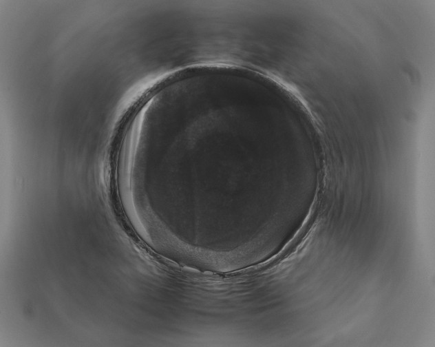 X0000112041319200909141109
