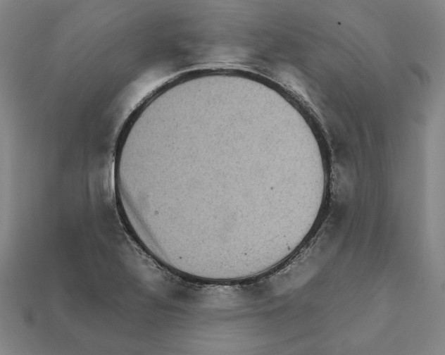X0000112041320200909141109
