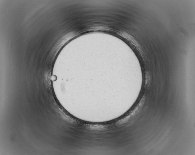 X0000112041321200909141109