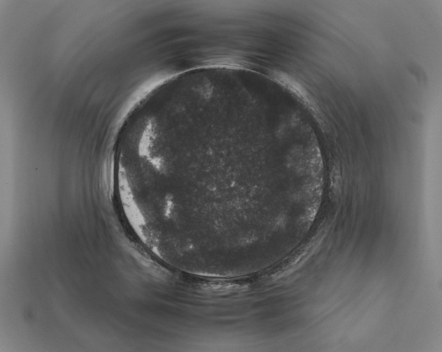X0000112041323200909141109