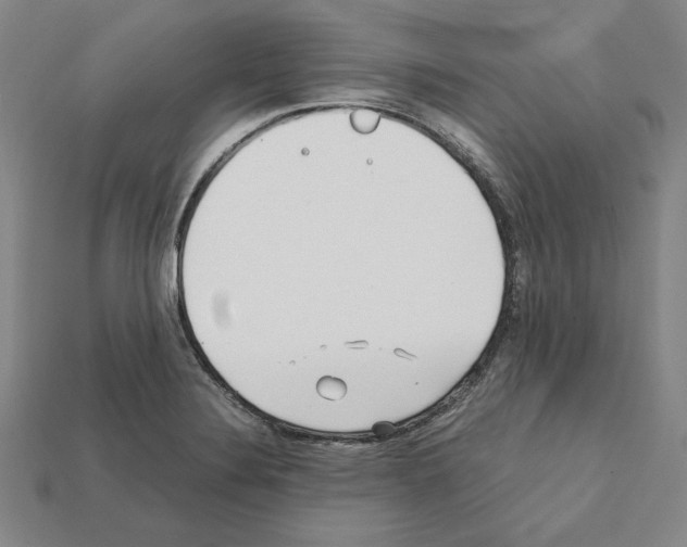 X0000112041324200909141109