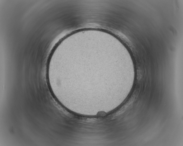 X0000112041326200909141109