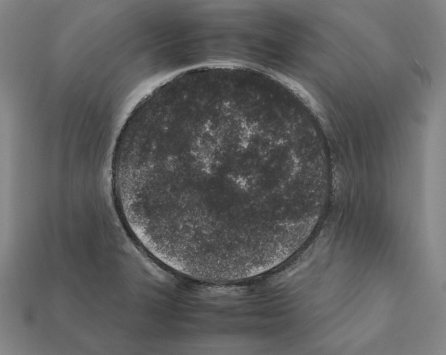 X0000112041327200909141109