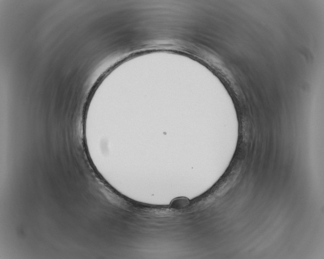 X0000112041328200909141109